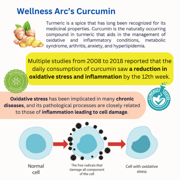 Turmeric Curcumin