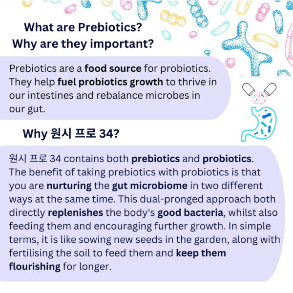 Wellness Arc Singapore Probiotics 100 Billion CFU / 34 Strains with L. Acidophilus + Prebiotic Make in Korea