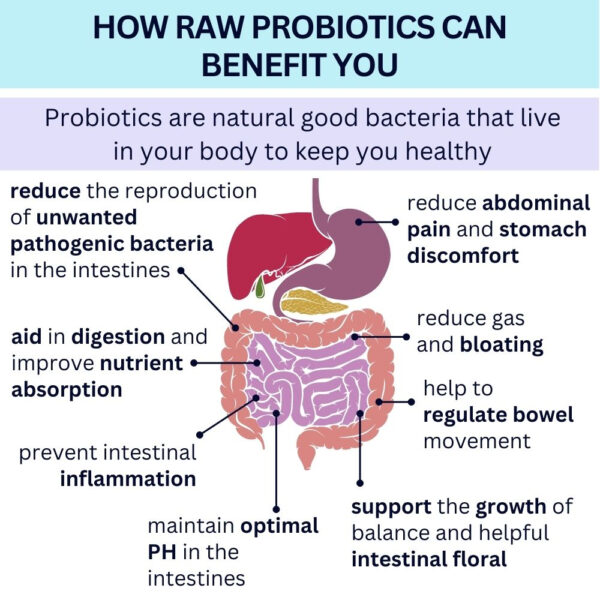 Wellness Arc Singapore Probiotics 100 Billion CFU / 34 Strains with L. Acidophilus + Prebiotic Make in Korea
