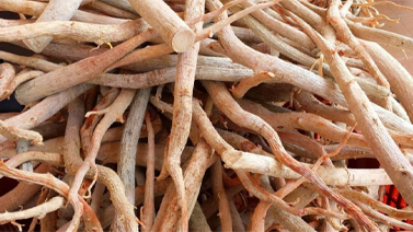 Tongkat Ali Benefits for male enhancement